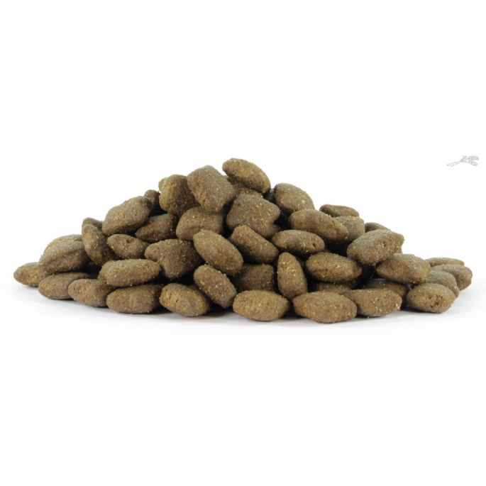 Natural Health Dog Fish & Rice Large Bite Puppy