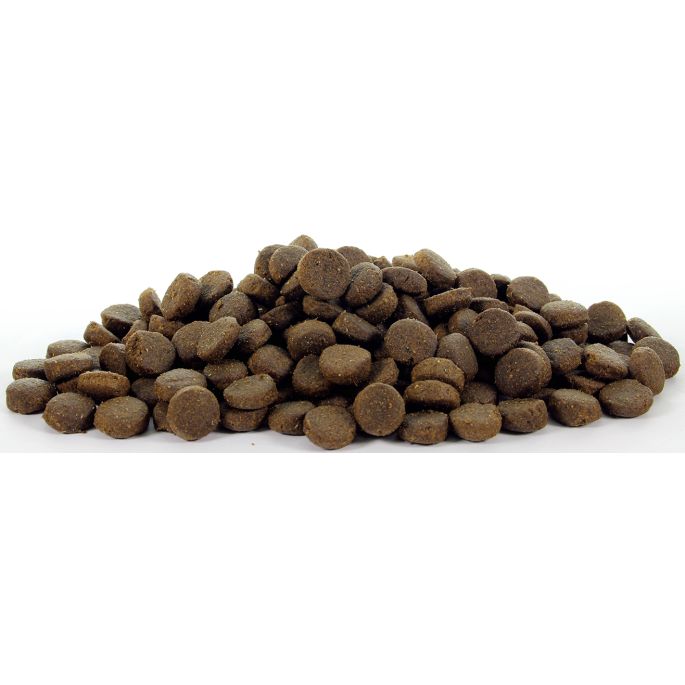 Natural Health Dog Carnivore Adult