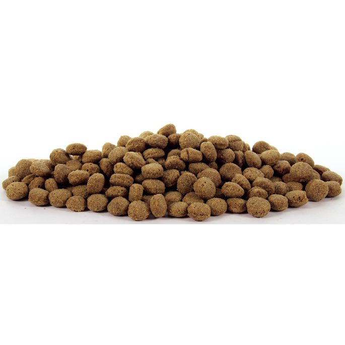 Natural Health Dog Lamb & Rice Reduced