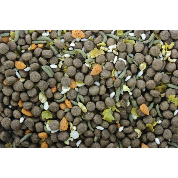 it's My Dog Dry Diner