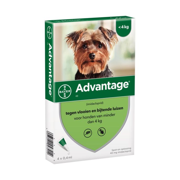 Advantage hond 