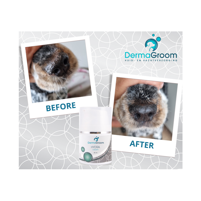 Dermagroom Hydra cream 30ml