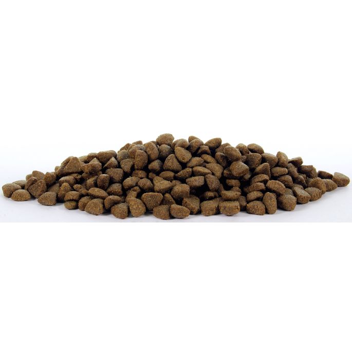 Natural Health Dog Basic 5 Puppy
