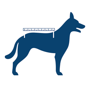 Ruglengte meten hond maat hondenbadjas